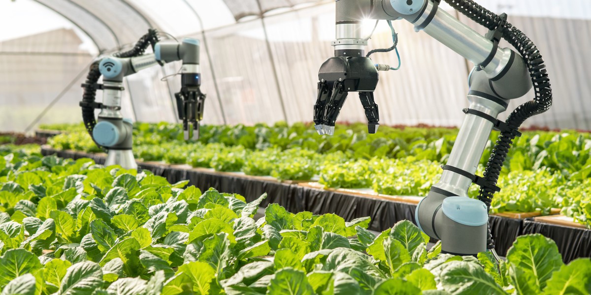 Indoor Farming Robots Market Expected to Expand at a Steady growth by 2024-2032