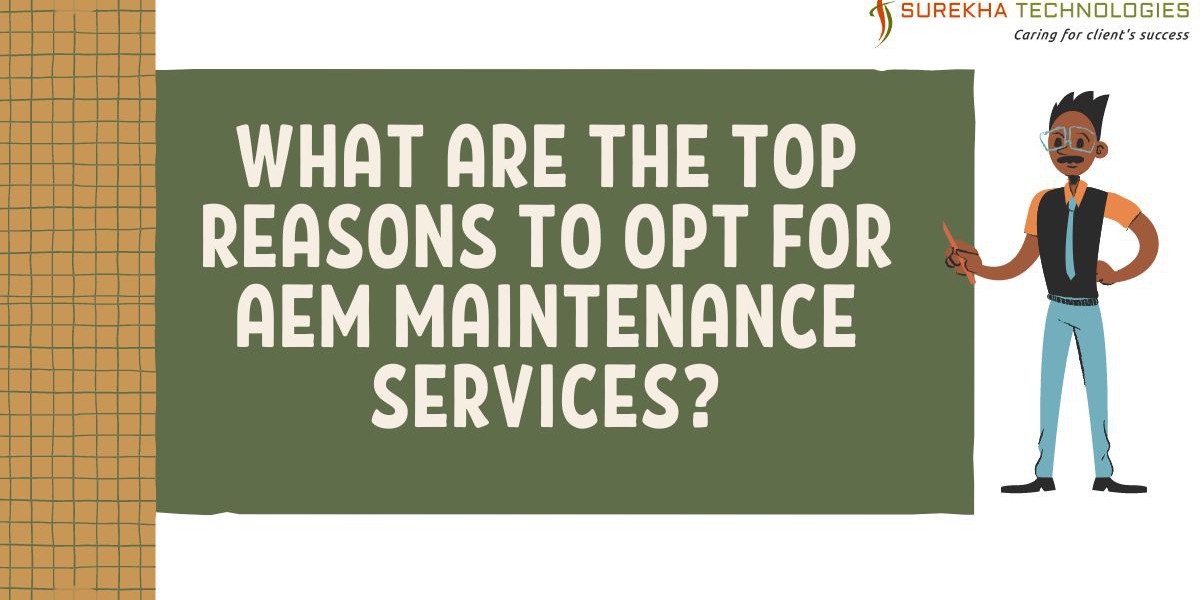 What Are the Top Reasons to Opt for AEM Maintenance Services?