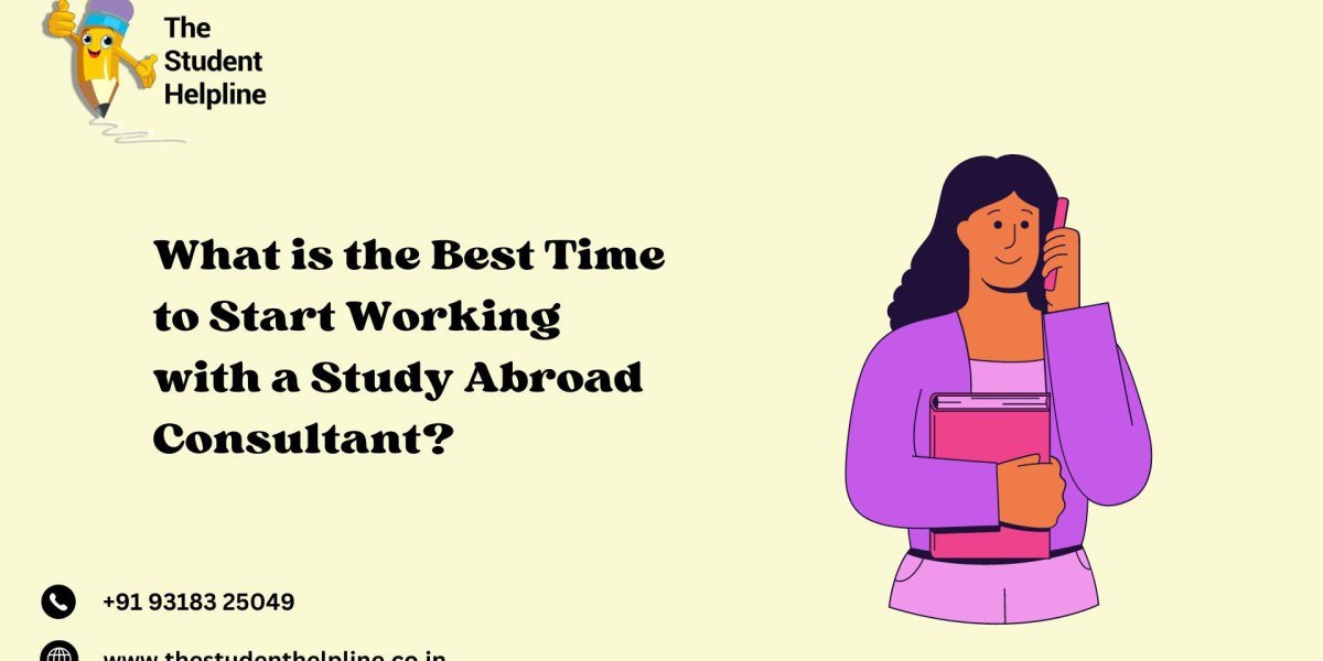 What is the best time to start working with a best study abroad consultant?