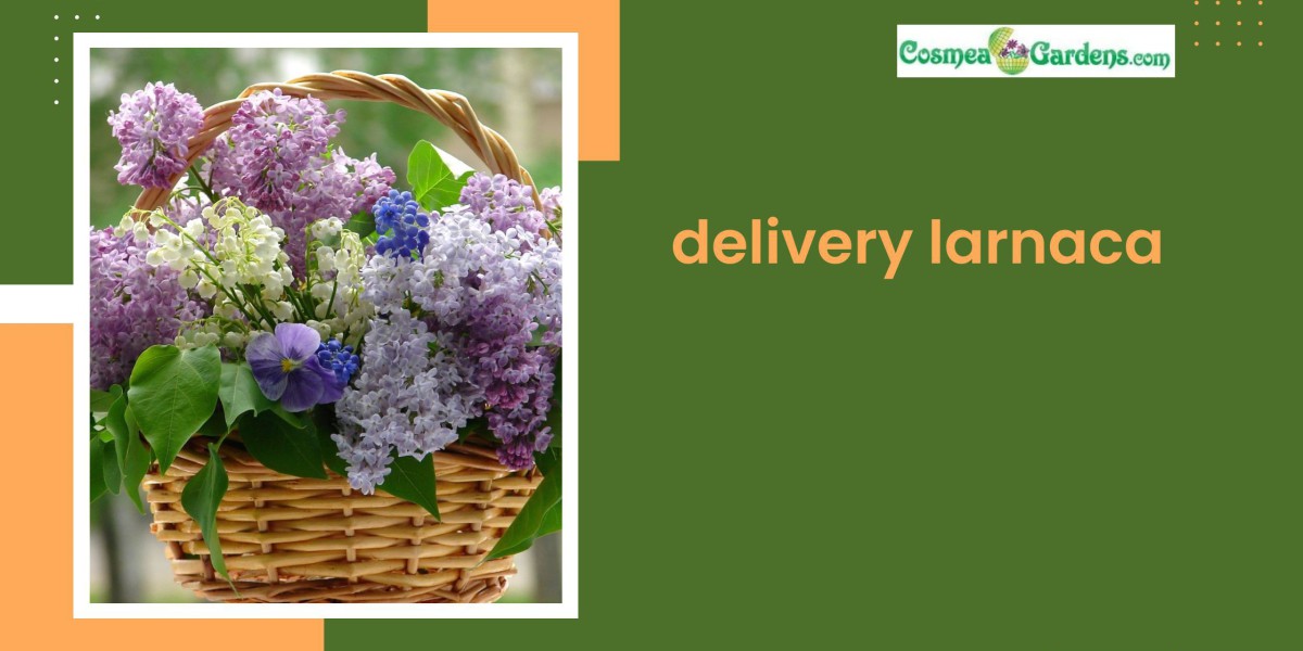 Express Delivery Services Available in Larnaca