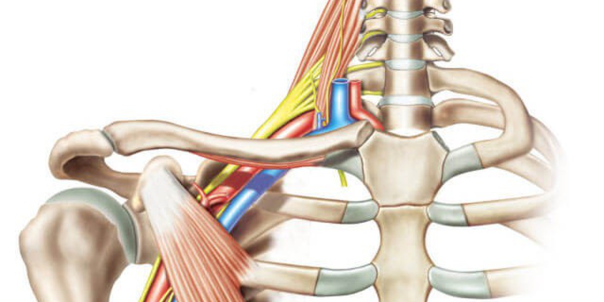 Brachial Plexus Injury: Hope Through Surgery