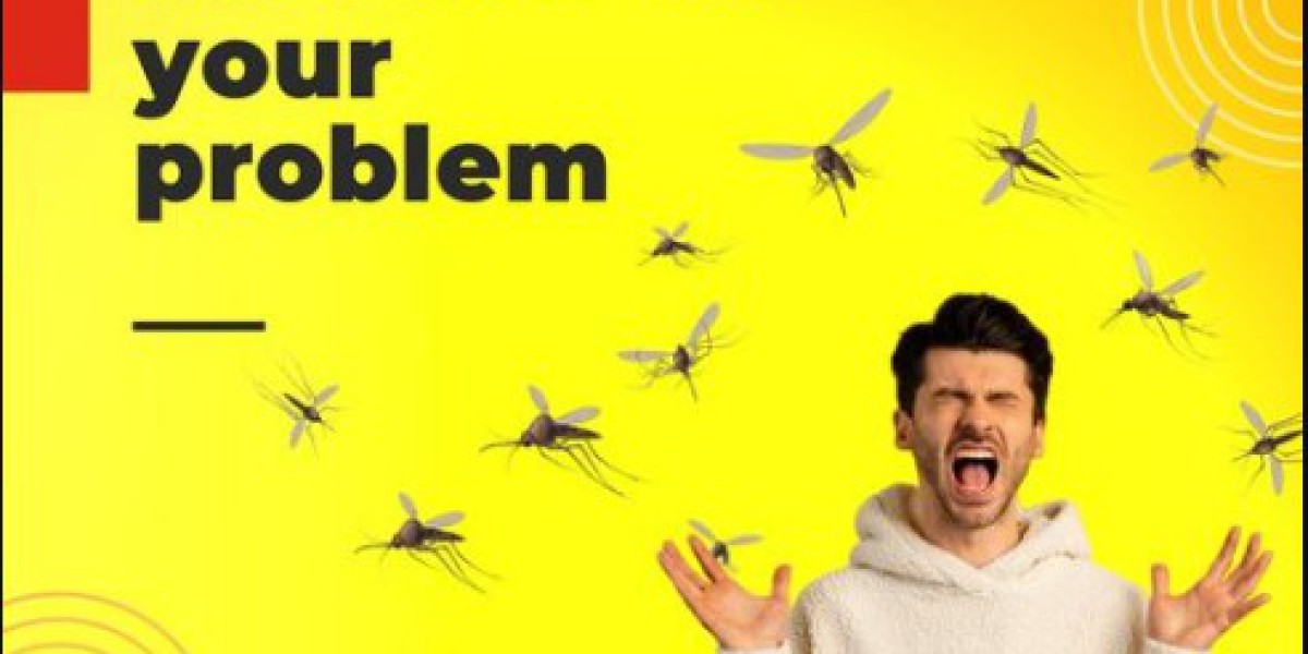 Effective Pest Control in Northern Ireland: Solutions from Pest Control & Proofing
