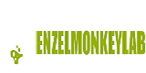 Enzelmonkey Lab Website Design and Development