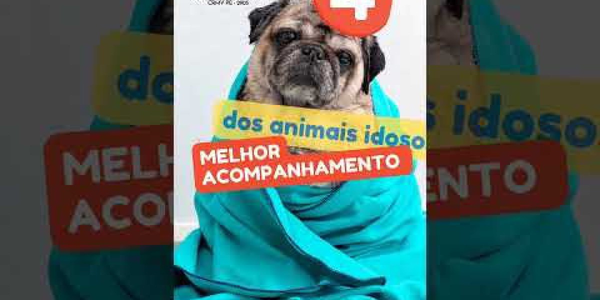 Entenda Como o Preço do Ultrassom Veterinário Pode Impactar a Saúde do Seu Pet