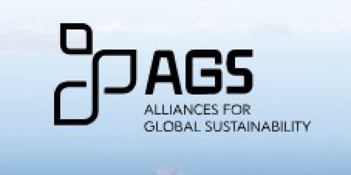 Understanding Sustainability in Consulting: A Focus on AGS Sustainability Consulting