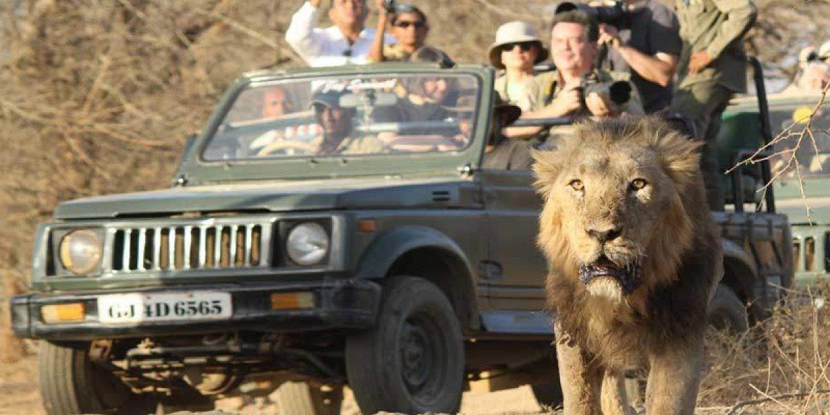 The Best Time to Visit Gir National Park