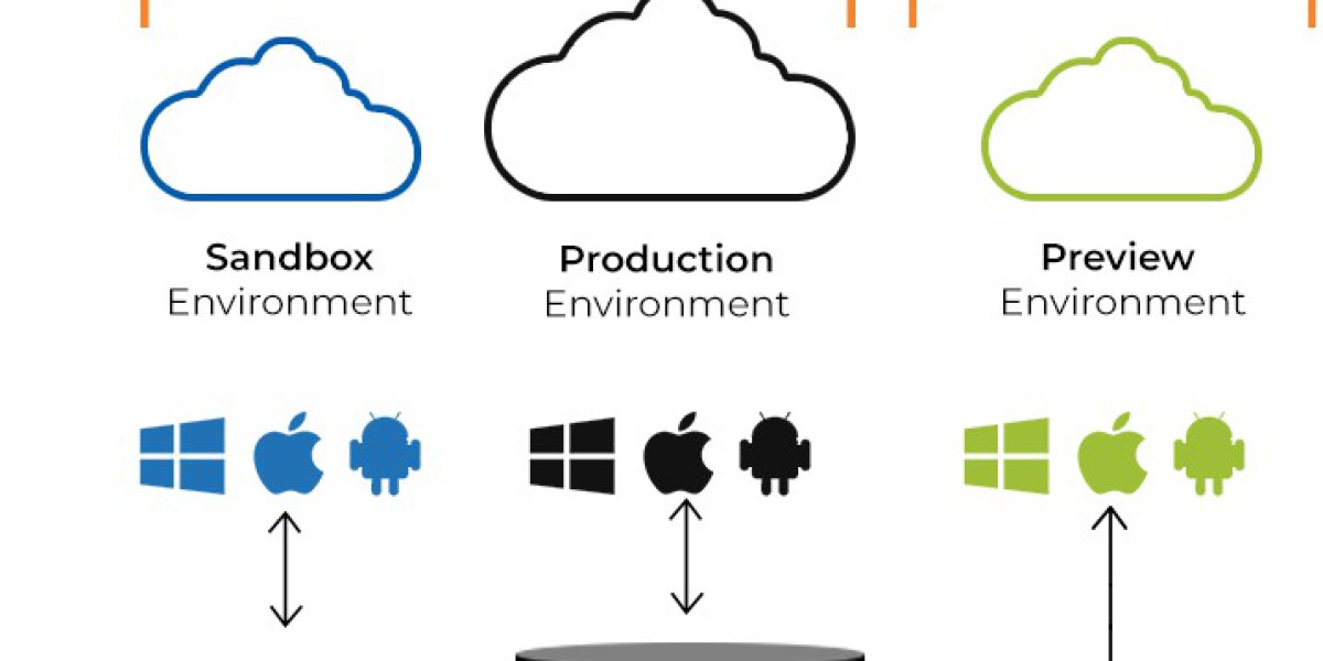 Cloud Sandboxing Market: Facts, Figures and Analytical Insights, 2024 to 2032