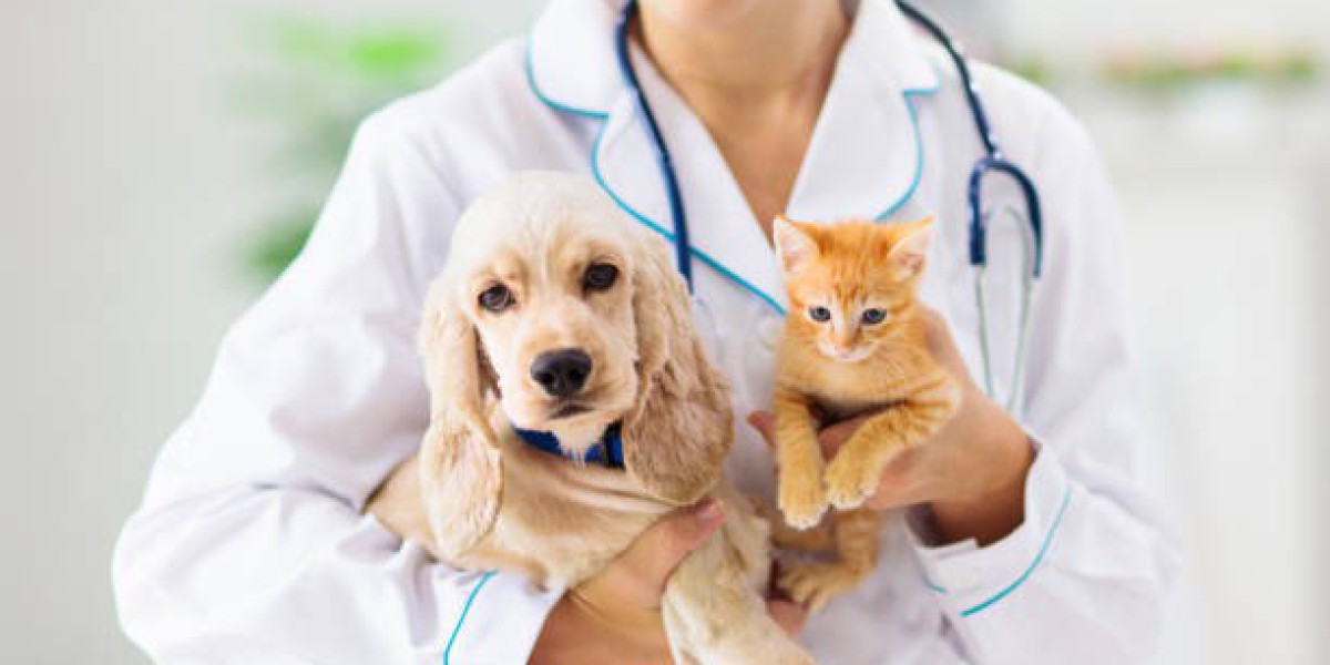 Animal Health Market Global outlook 2024 to 2031