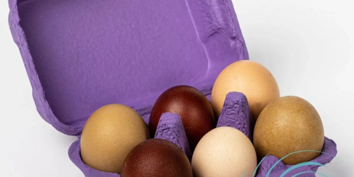 Eco-Friendly Egg Cartons for Sustainable Farms – Poultry Cartons