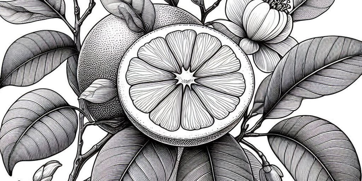 Free Coloring Pages for Fun and Creativity – Printable and Enjoyable!