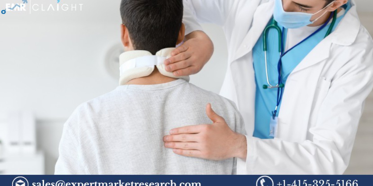 Spinal Cord Stimulation Market Size, Share, Trends, Growth, Analysis, Report and Forecast 2024-2032