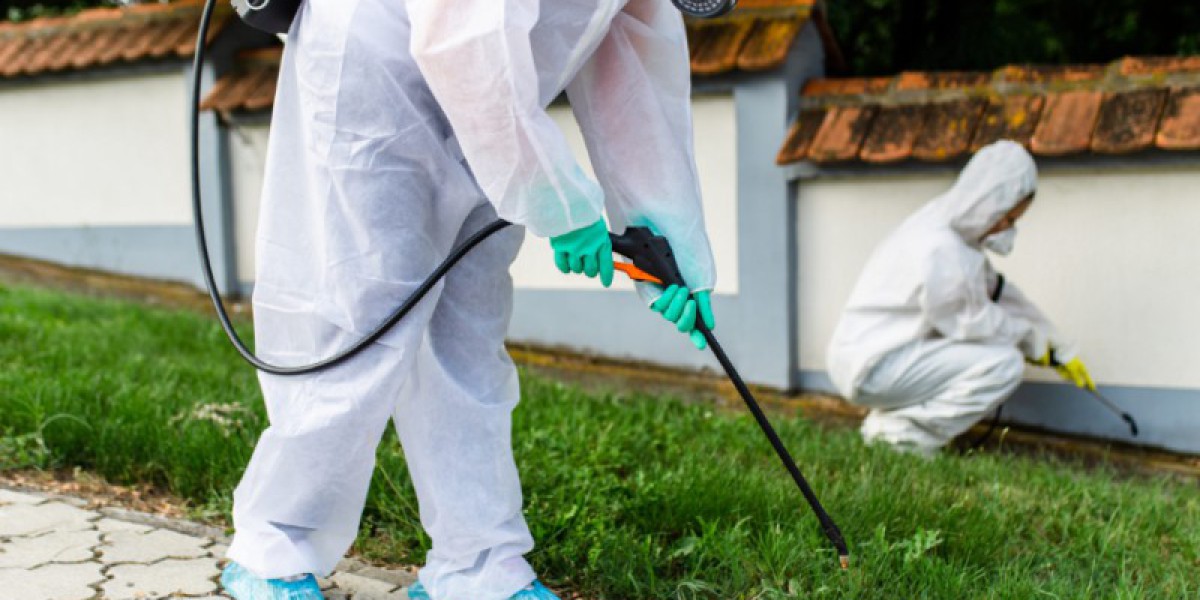 Effective Solutions for Pest Problems: Montgomery Termite Pest Control and Willis Animal Control