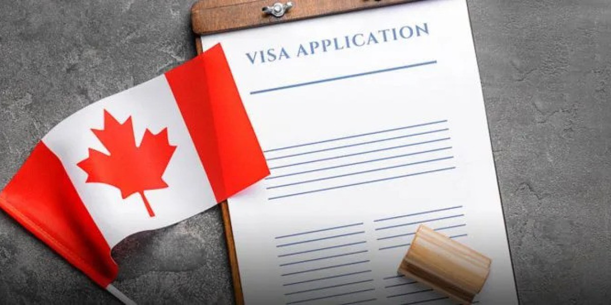 The Ultimate Guide to Choosing the Right Immigration Consultant in Toronto