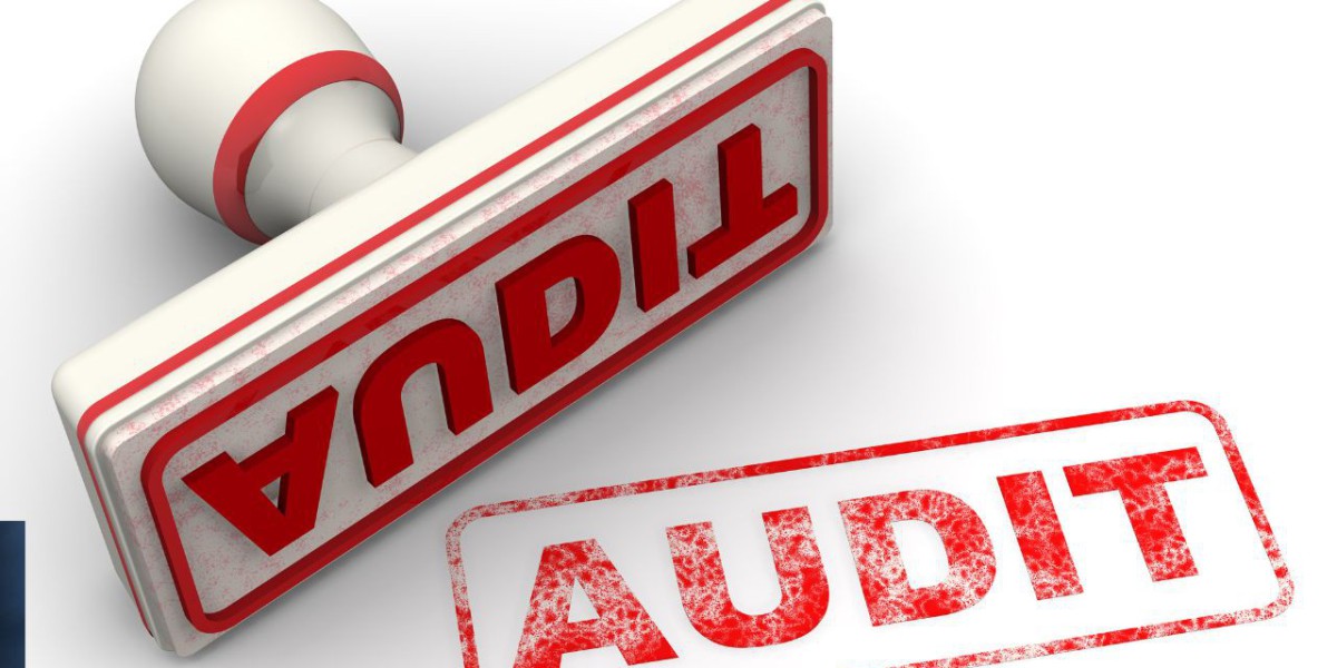 How can Businesses Stay Audit-Ready by Organizing Expenses Effectively?