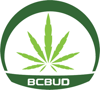 BCBUD KW