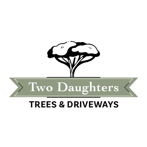 Two Daughters Trees and Driveways