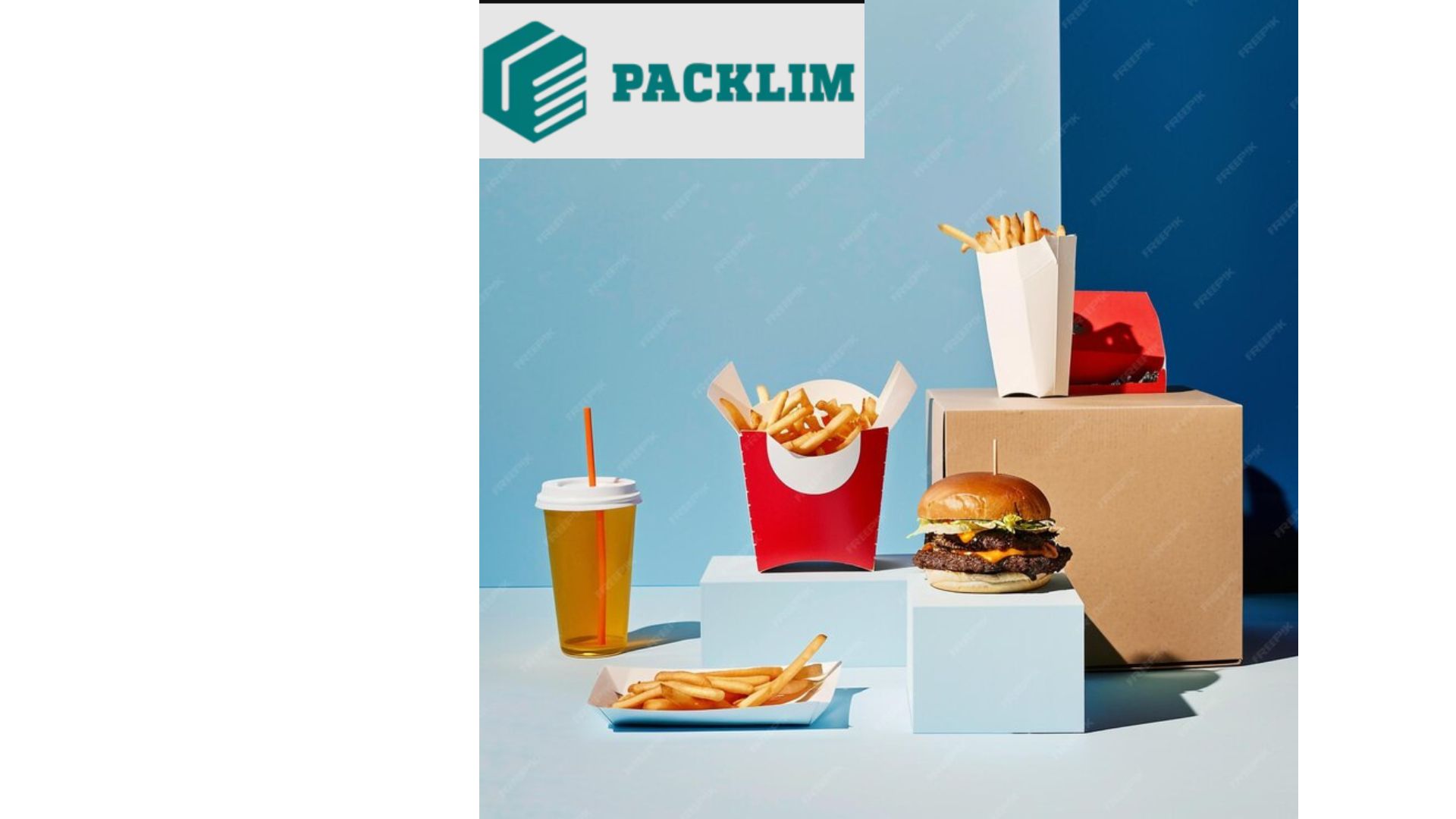 Fast Food Boxes