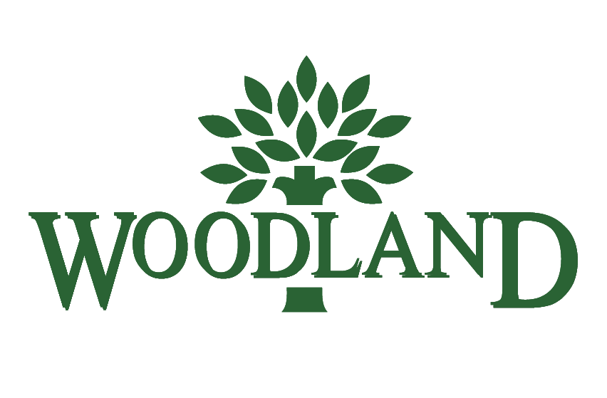 wood land