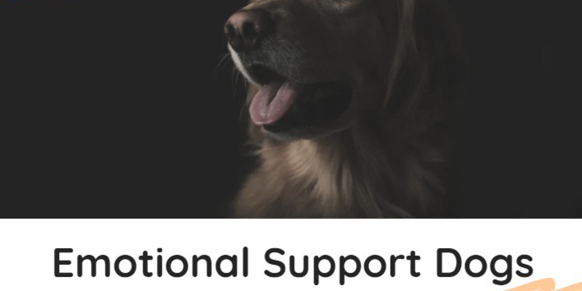 How Emotional Support Dogs Can Help Alleviate Anxiety: Best Breeds for Comfort