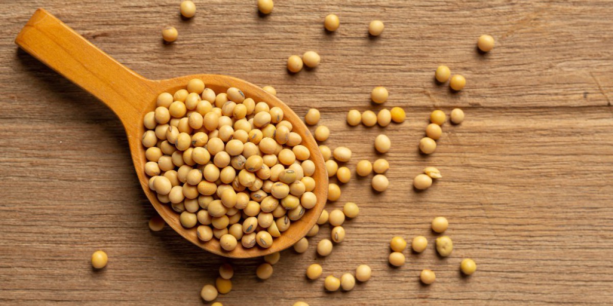 How is Soy in India Impacting the Market? Find Out with PriceVision!