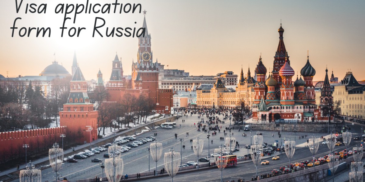 Online Russia visa application form