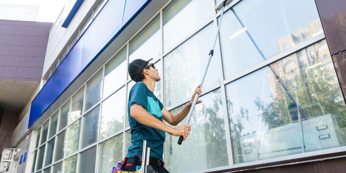 Why Choose Local Window Cleaning Professionals for Sparkling Results