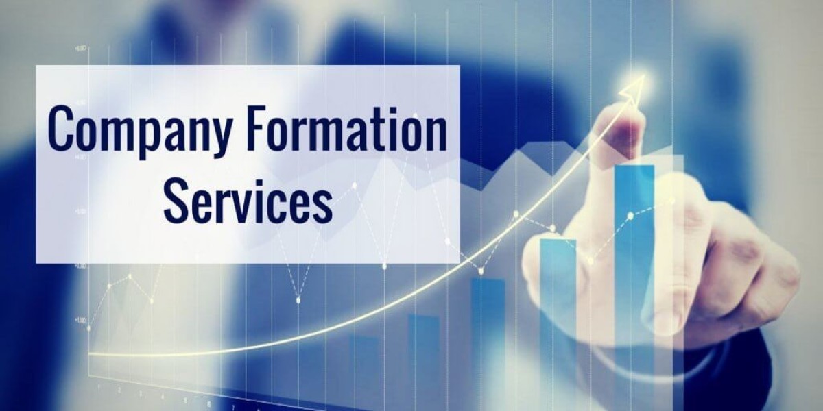 Why You Should Use a Professional for Company Formation Service