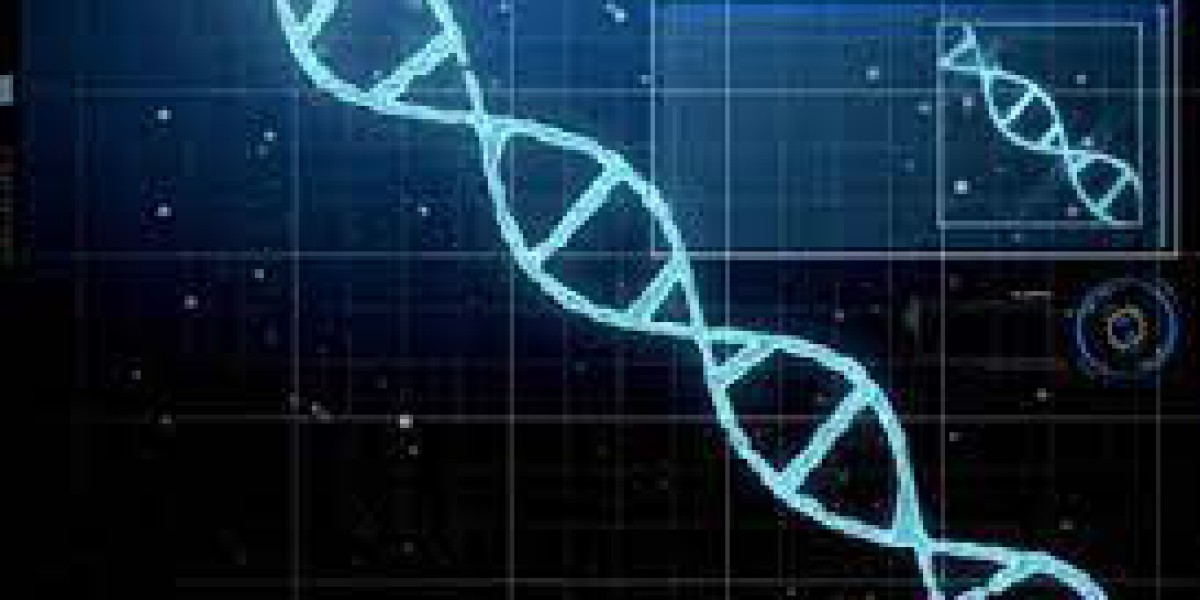 Quick and Reliable DNA Test Online: Learn About Your Roots Today