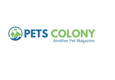 Pets colony