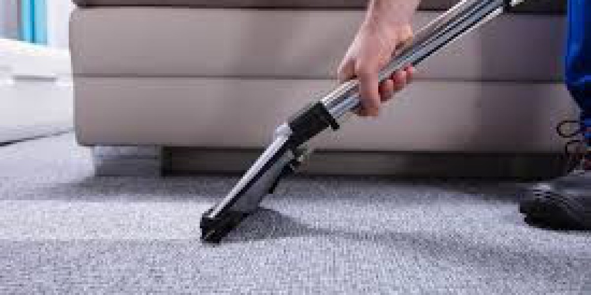 Why Professional Carpet Cleaning Services Are Critical for Carpet Care