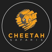 cheetahsafaris