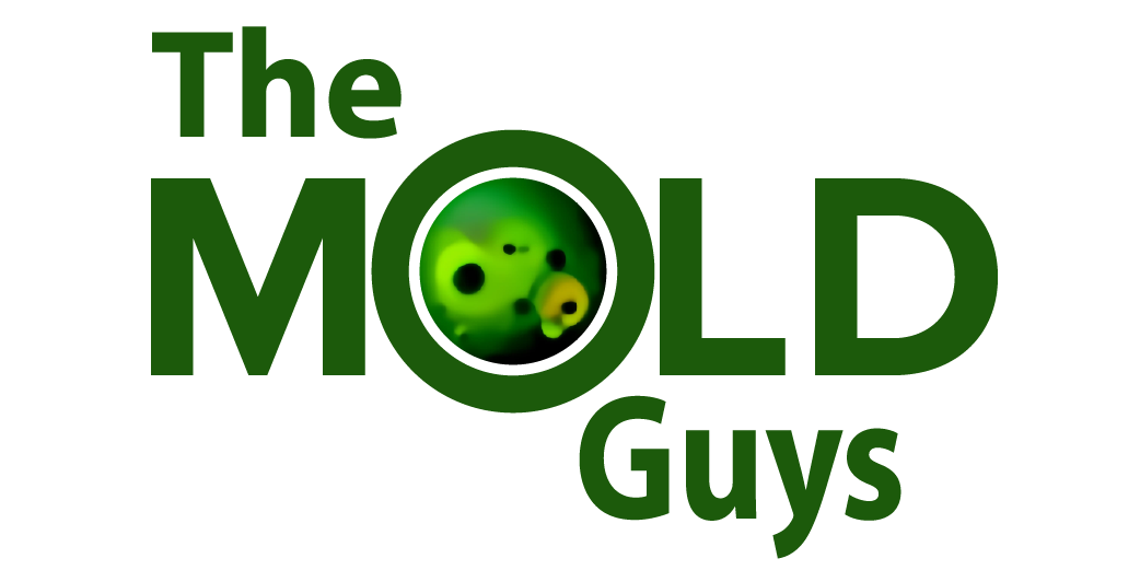 moldguys